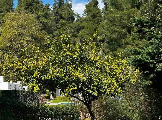 Sani Garden House