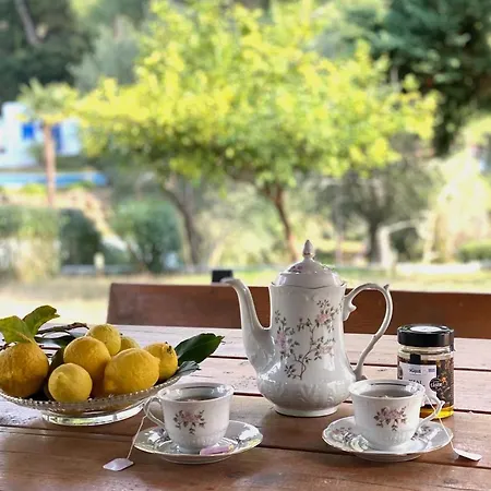 Sani Garden House Holiday home