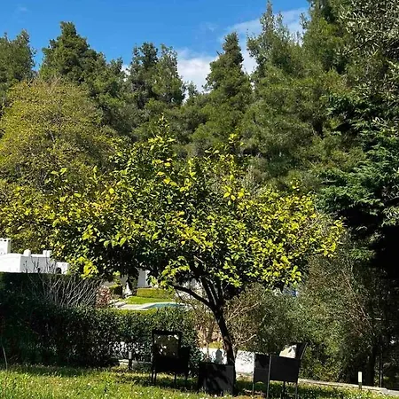 Sani Garden House