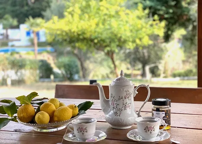 Sani Garden House בית נופש